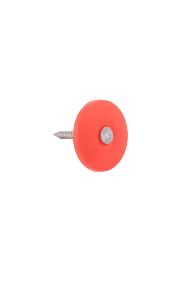 2" X 106 Plastic Cap Nail EG - 1 Lbs - Image 3