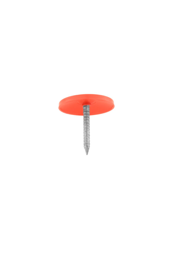 2" X 106 Plastic Cap Nail EG - 1 Lbs - Image 2