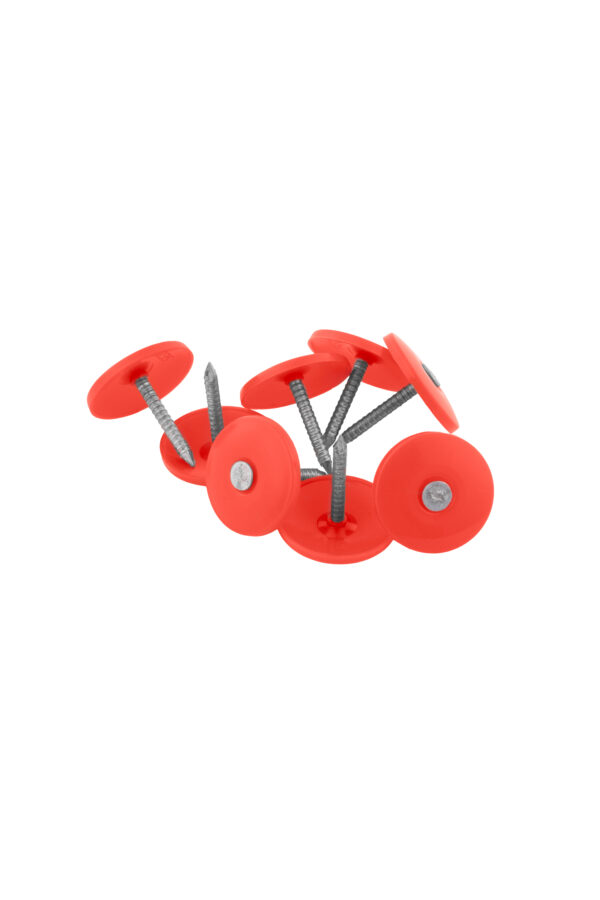 2" X 106 Plastic Cap Nail EG - 1 Lbs