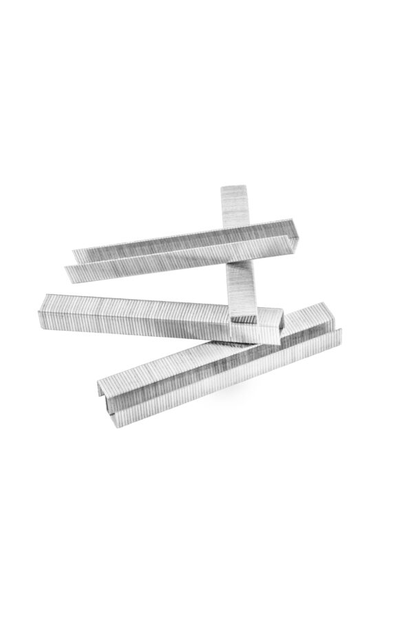 1/2" X 1-1/4" 16 GA SS 304 “GS” MEDIUM CROWN STAPLES (10 M)